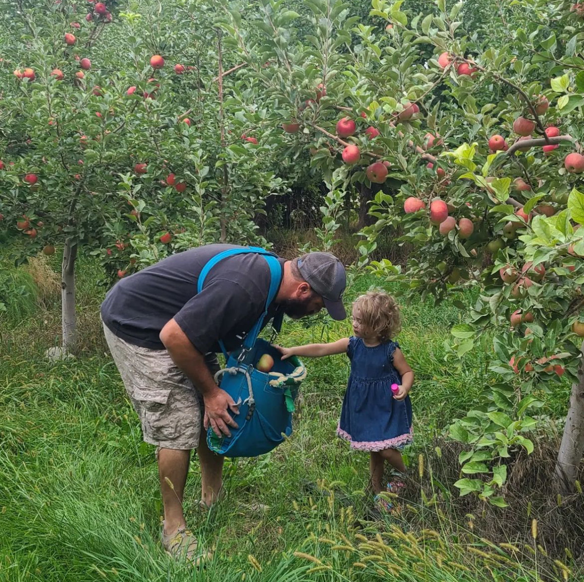 Apple Picking in Utah