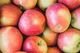 Braeburn Apples Utah