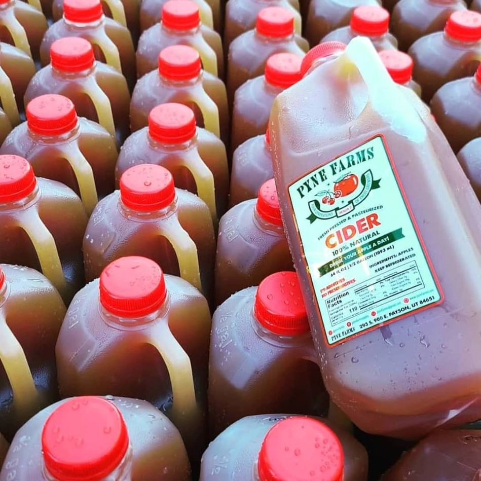 Apple Cider Organic Utah