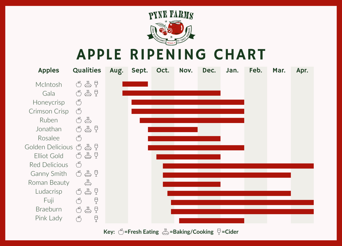 Apple Ripe Table Varieties – Pyne Farms
