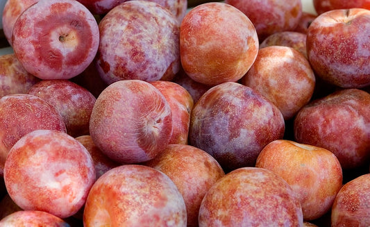 Pluots